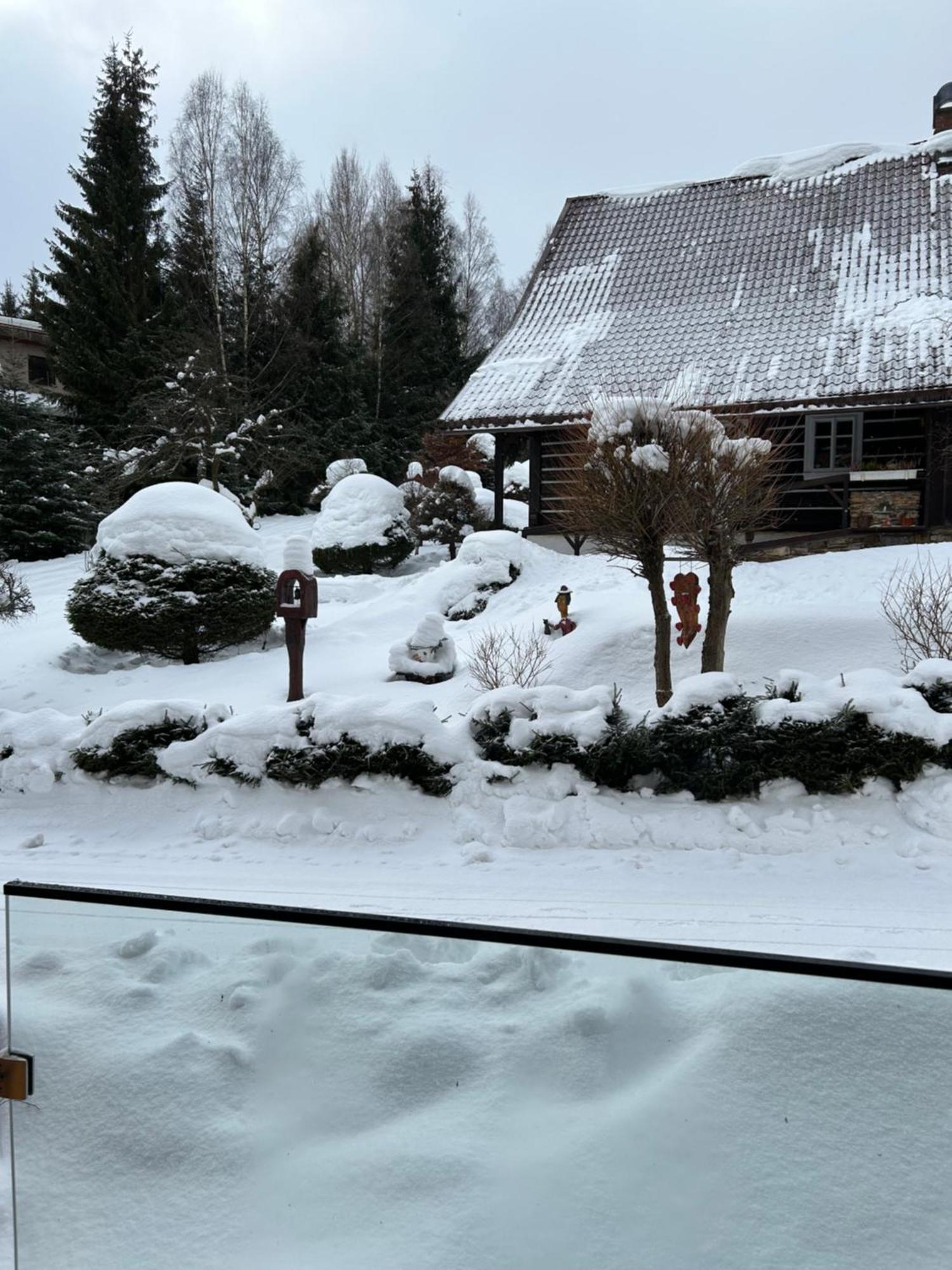 Apartmán ROKY 6 Rokytnice nad Jizerou Exterior foto